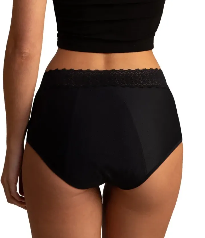 Sabina Premium Period Full Brief SBF91