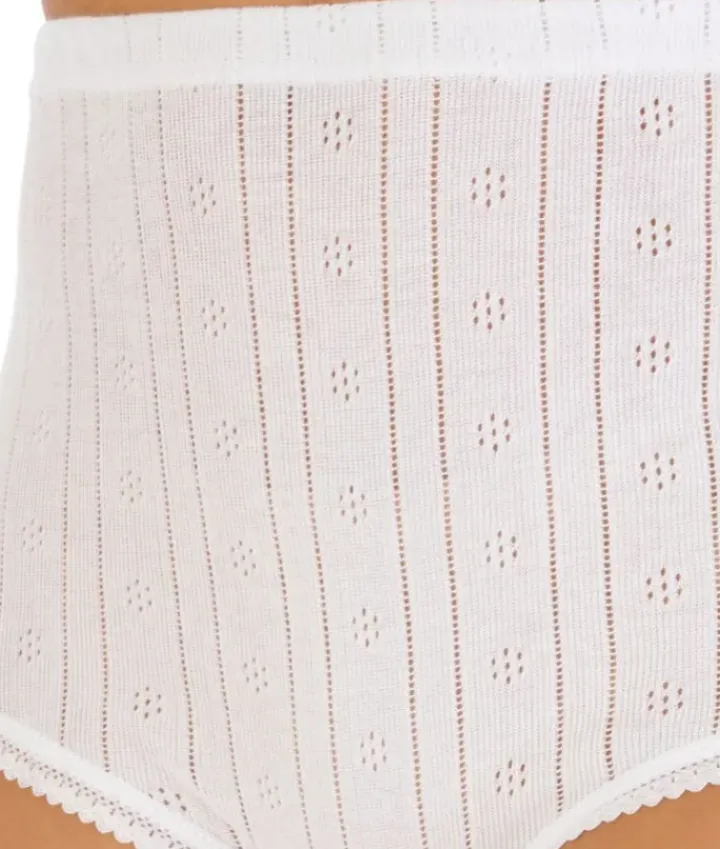 Slenderella Pointelle Pure Cotton Brief (2 Pair Pack) UW907